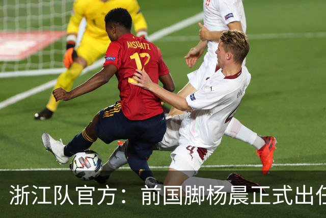 浙江队官方：前国脚杨晨正式出任俱乐部总经理